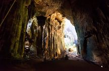 Sandakan: Gomantong Cave Echoes and Kinabatangan Cruise