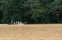 Sandakan: Gomantong Cave Echoes and Kinabatangan Cruise