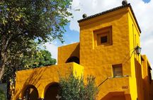 Architecture of Luis Barragan Walking Tour with Street Food