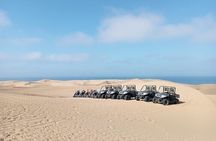 Dune buggy Adventure in Agadir Forest and Beach Dunes