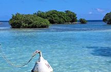 Boat Tour in 1/2 Day in the Great Ass of Sailing Bag