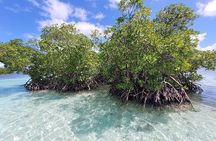 Boat Tour in 1/2 Day in the Great Ass of Sailing Bag
