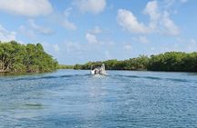 Boat Tour in 1/2 Day in the Great Ass of Sailing Bag