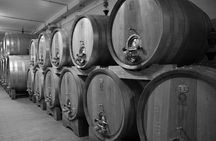 Art and Wine in the Heart of Chianti discover with us the tradition