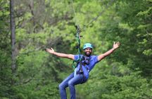 Zipline the Goliath in The Smoky Mountains
