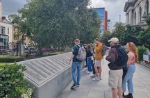 Belfast Walking Tour with a Local: History, Stories & Culture