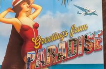 See it All in One Tour!! 6hr VIP Full Experience of Miami!! 