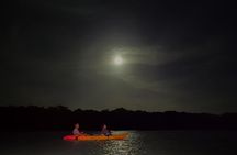 Night Mangrove Kayak Tour