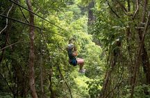 Jaguar Paw Cave Tubing & Zipline Adventure from Hopkins Village