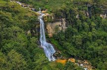 Luxurious Tuk Tuk Nuwara Eliya With Ashan