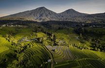Best Bali Hidden Gems Waterfall with Less Tourist All Inlclusive