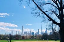 Explore Central Park and Run Along the Marathon Path