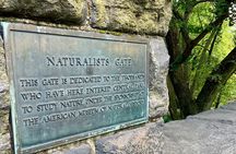 Explore Central Park and Run Along the Marathon Path