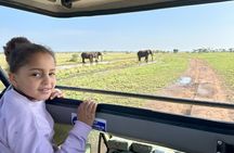 Ngorongoro Crater Day Trip