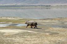 Ngorongoro Crater Day Trip