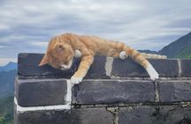 Private Day Tour to Mutianyu Great Wall with English Driver