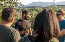 Private Bespoke Day with a True Local Insider