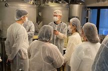 Chunpoong Makgeolli Brewery Tour