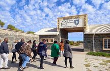 Robben Island and Cape of Good Hope Private Tour
