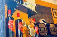 Barcelona Segway and E Scooter Tour with Local Food Tastings