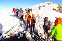 7-Day Machame Route Hiking Kilimanjaro Mountain