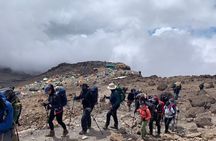 7-Day Machame Route Hiking Kilimanjaro Mountain