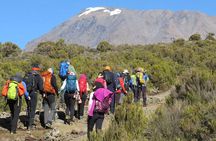 7-Day Machame Route Hiking Kilimanjaro Mountain