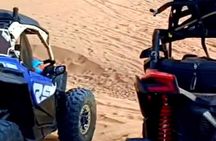 Dune buggy Adventure in Agadir Forest and Beach Dunes