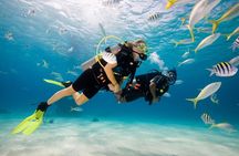 Ölüdeniz Half Day Scuba Diving Experience