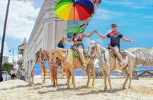 Combo Horse and City Tour Puerto Plata