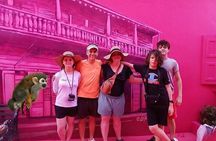 Combo: City Tours and Monkeys in Puerto Plata