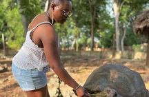Zanzibar Stone Town Private Walking Tour