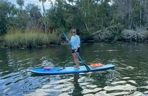 Crystal River: Three Sisters Paddleboarding and Snorkeling Tour