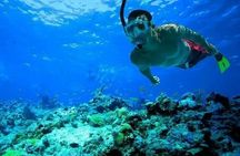 Snorkeling in Port City