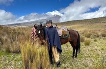 Cotopaxi Horseback Riding Tour