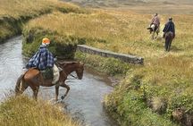 Cotopaxi Horseback Riding Tour