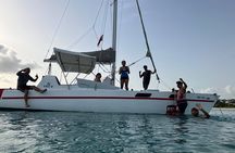 New! Small group catamaran snorkel & sail in Carlisle bay (max 6)