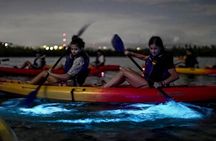 Bioluminescent Bay Kayak Tour in Fajardo Puerto Rico