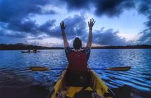 Bioluminescent Bay Kayak Tour in Fajardo Puerto Rico