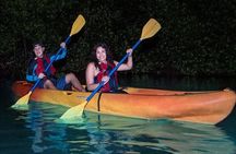 Bioluminescent Bay Kayak Tour in Fajardo Puerto Rico
