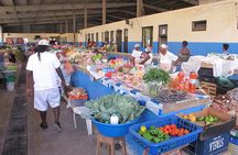 Land excursions in small family groups on Santiago