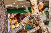Singapore Zoo and Night Safari Tickets