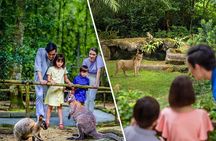 Singapore Zoo and Night Safari Tickets