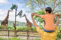 Singapore Zoo and Night Safari Tickets