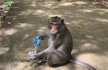 Cần Giờ Eco-Tour with Monkeys, Crocs & War History