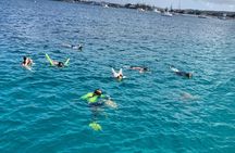 NEW! Small group catamaran Snorkel & sail