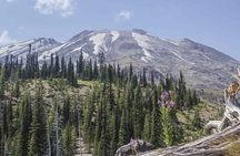 From Portland to Mt. Saint Helen Tour in a Small Group
