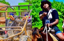 Buggies & Horses in Punta Cana: Double the Thrill in One Tour