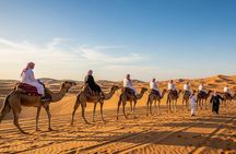 Affordable Desert Safari Experience with Comfort and Style