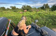 Udawalawe National Park Safari from Mirissa or Weligama